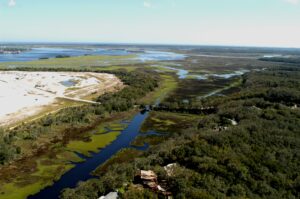 The defensive potential of the bluff can be judged from this view. Colorinda Creek runs at the base of St. Johns Bluff as it faces generally east toward the merger of the St. Johns River and the Atlantic Ocean..