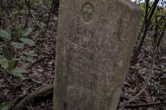Grave marker for Dan Gillion