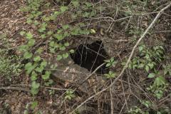 Hole in  gravesite vault covering